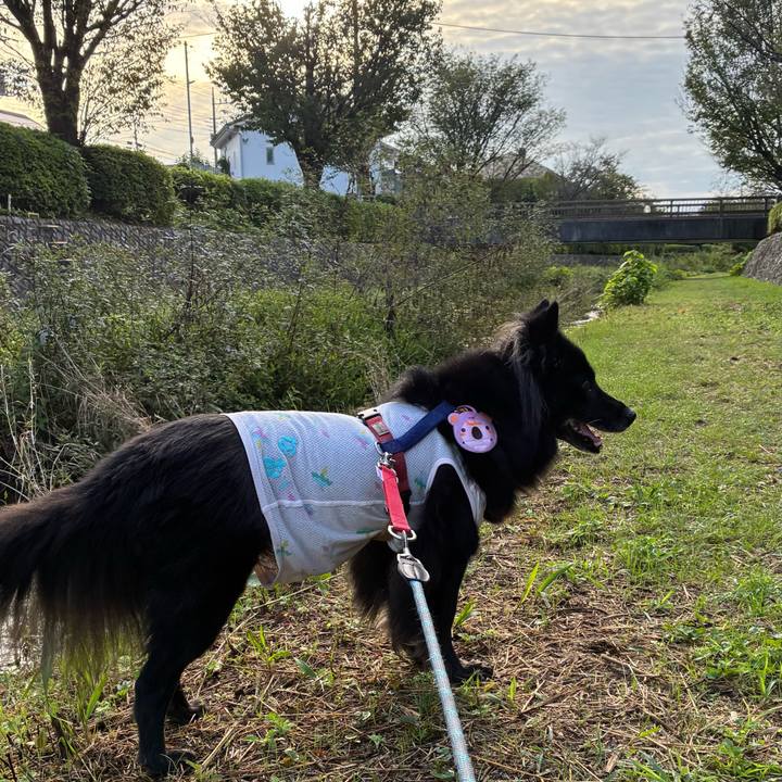 D336f159 9ee9 459b 8c14 03b272608dcc 1759448373255