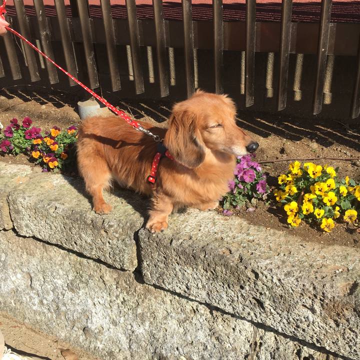 D337159c d456 4f28 af88 07527a4bdee1 1615728536927