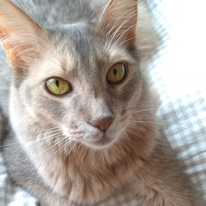 D3372955 ac8c 44ac a5c5 870cda7aa341 1625895088238