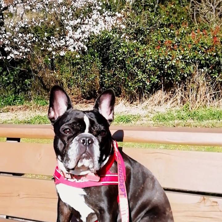 D3375106 2db3 4bf1 918c ee22d2830655 1585121799347