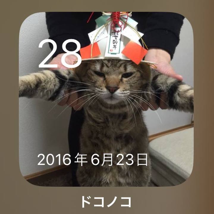 D33760c1 1be0 4080 bd50 fadf35706748 1687949010814