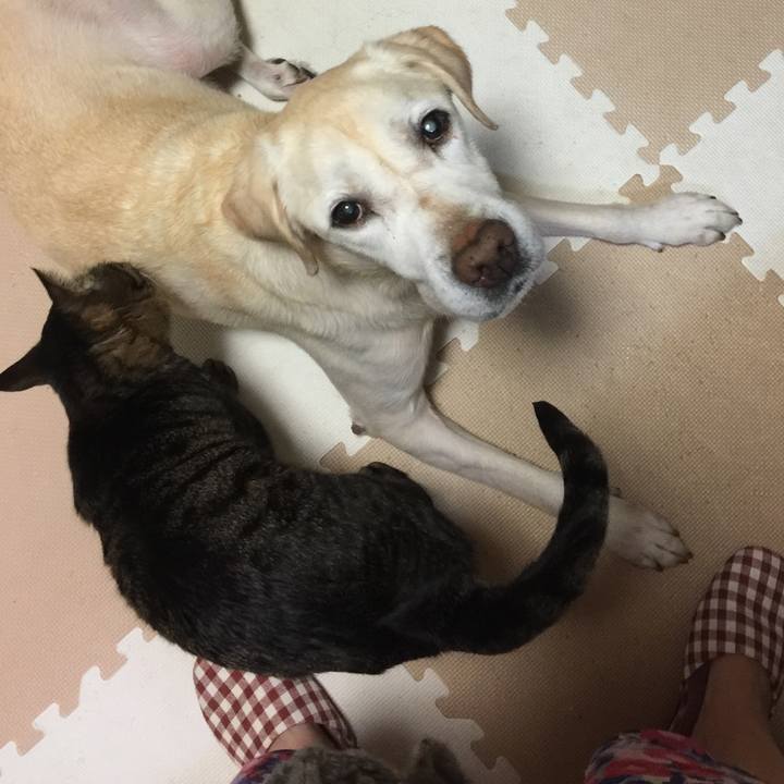 D33781ea 6dd3 4e6c 84e2 dea83b364153 1582111989914