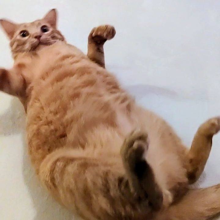 D337a05a b0b6 47a0 bae9 8dc751eb0e17 1635764129295