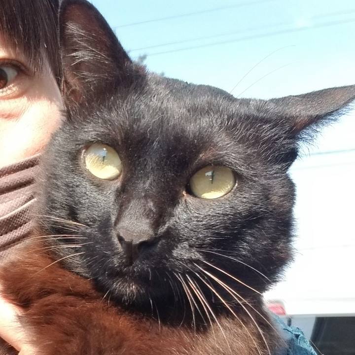 D337a6a3 932d 4ea4 a982 4de036119653 1691019978062