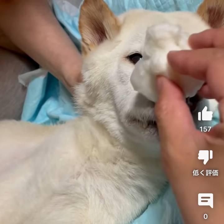 D337bae2 b466 4669 b423 0fb70295eea5 1683204567828