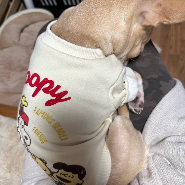 D337d71e 9c72 4a3e 972f 1e43584fe652 1673008040114