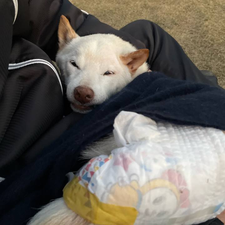 D337f33f e1f1 4f47 8111 fc65359fb675 1671968174245