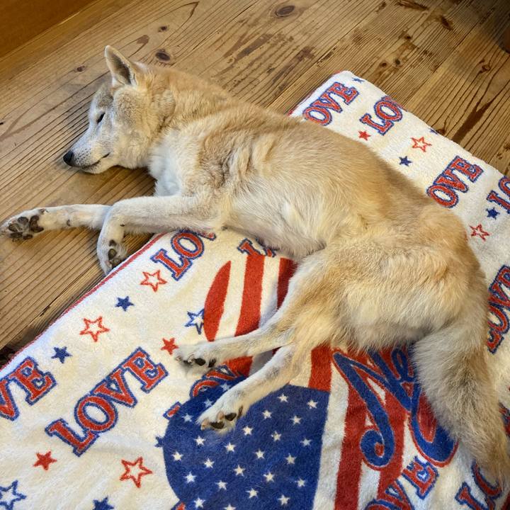 D338327d cb6a 473a 8bf8 bd0e98735b3f 1596176201284