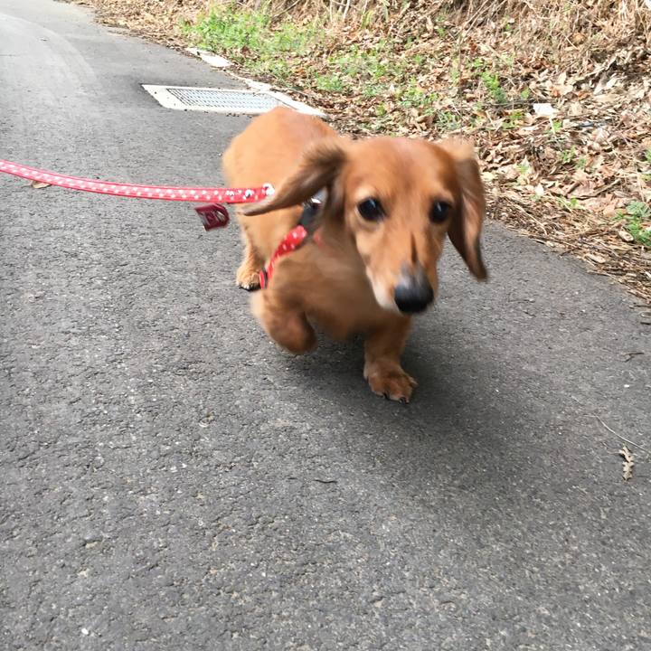 D33844b4 fe81 40e9 9a22 9ed0b5b03346 1584358604430