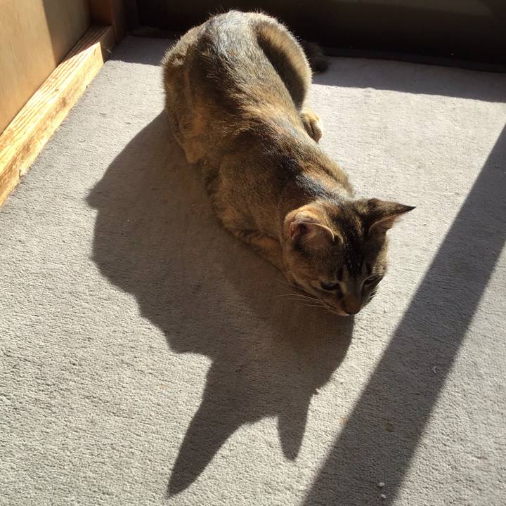 D33846ba 35f7 4edd 904c c4c88641cbbc 1577072792140