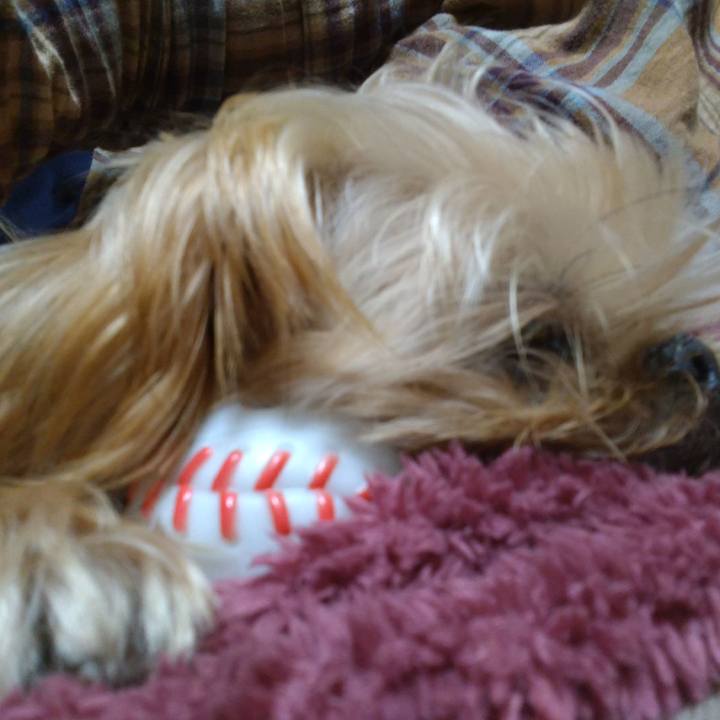 D3385950 85c0 45c1 a6ae 96a2cdf8338c 1607687699765