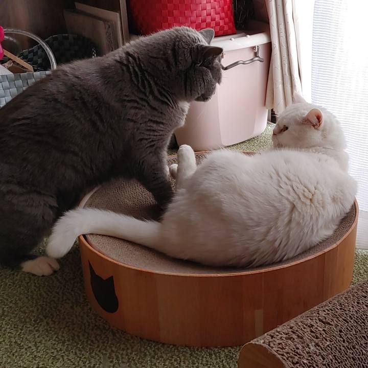 D3385bd7 1dad 4f9b 8f0d 0437a364ed7d 1643953875356