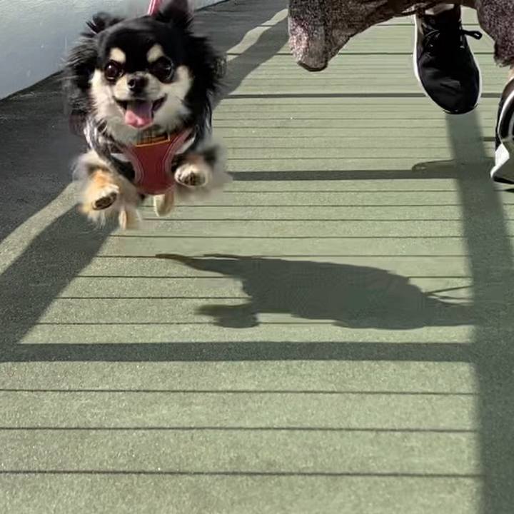 D33872b6 b7b8 473c bb14 825954f3fcd7 1603622320358