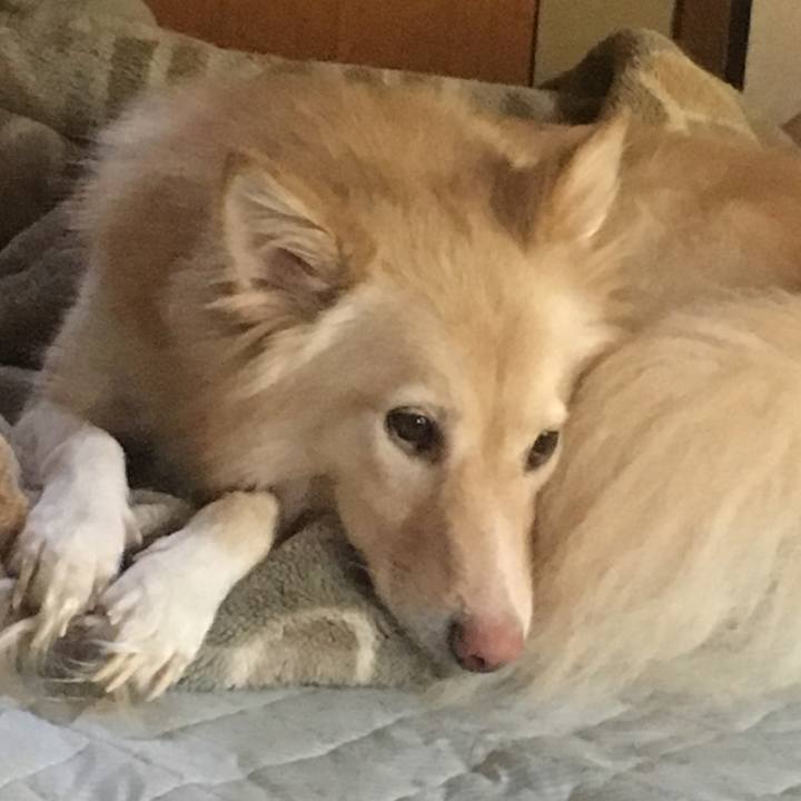 D3387972 097b 4725 a521 033f7a406e73 1569626620226