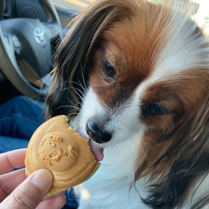 D338e8e5 0a00 4871 b9a4 f1e4cc87107e 1636179109253