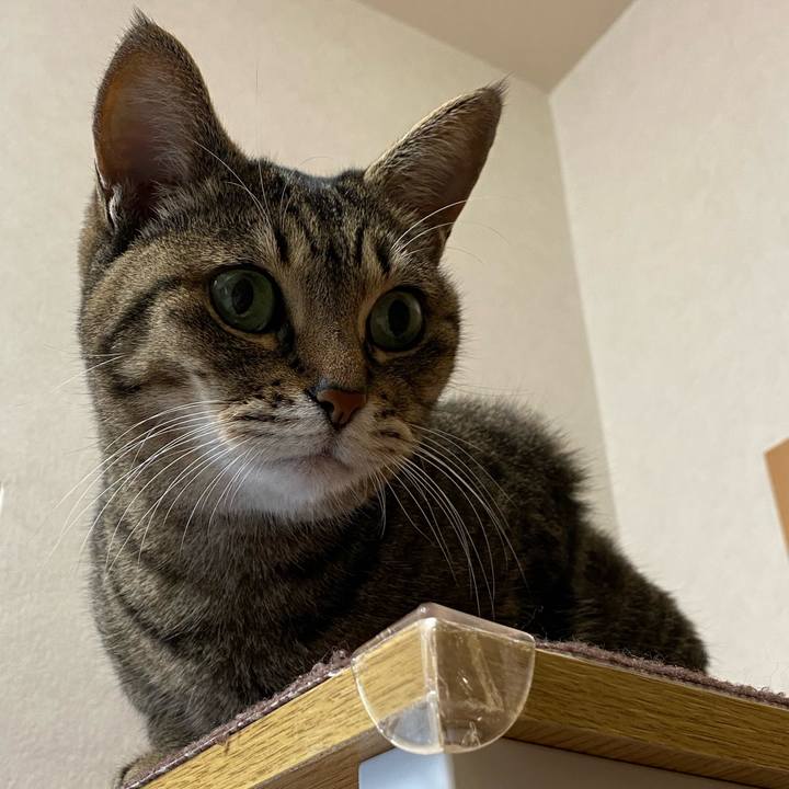 D339051b 5195 4215 98d6 2b40530a3f81 1763187619254