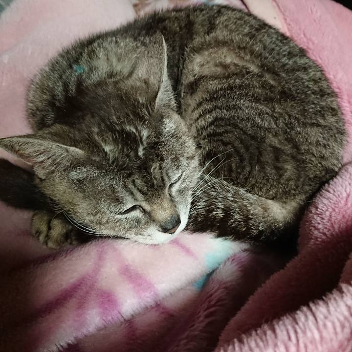 D33931e7 1ce1 4bb6 a2cc 8ecfe0caeb25 1560515298108