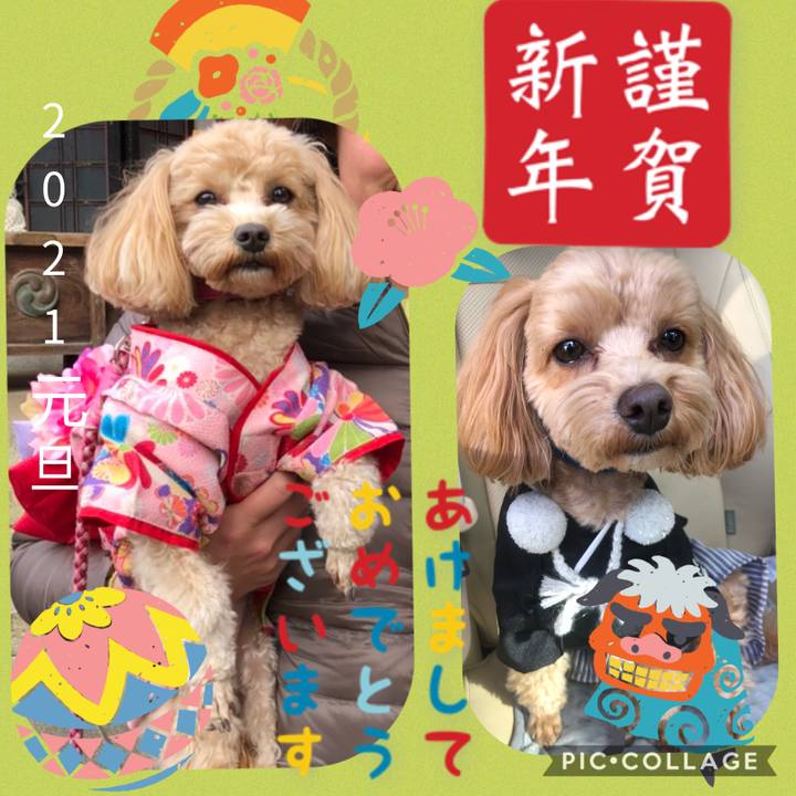 D3396828 1848 4b68 8e4b 0724442a5229 1609432511821