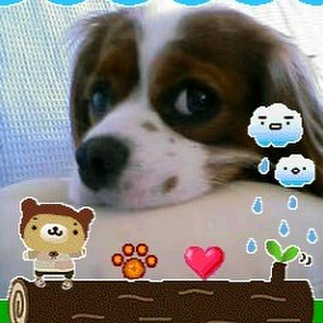 D339e434 f5e4 438b 8b51 d915975b6486 1512447573127