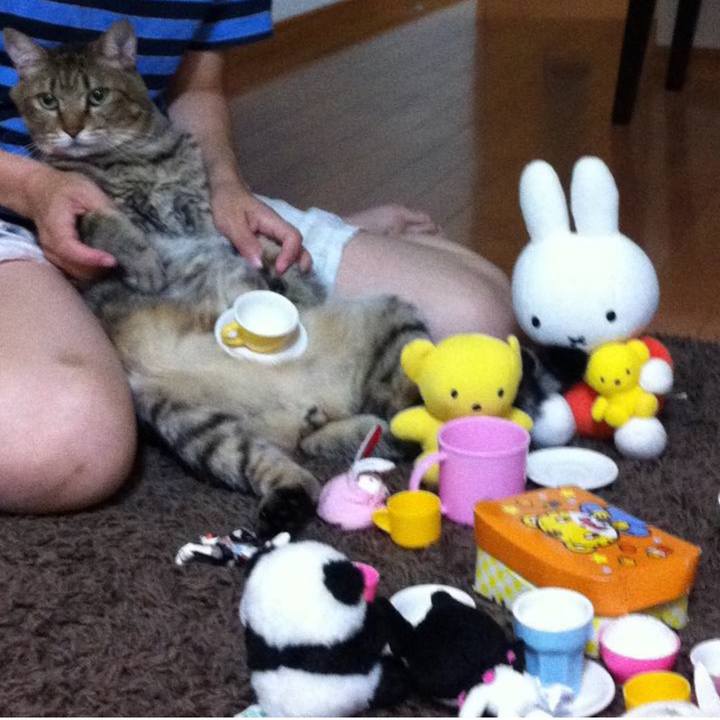 D339e4c8 1c01 42be 8643 9280a62f2c85 1688259121682