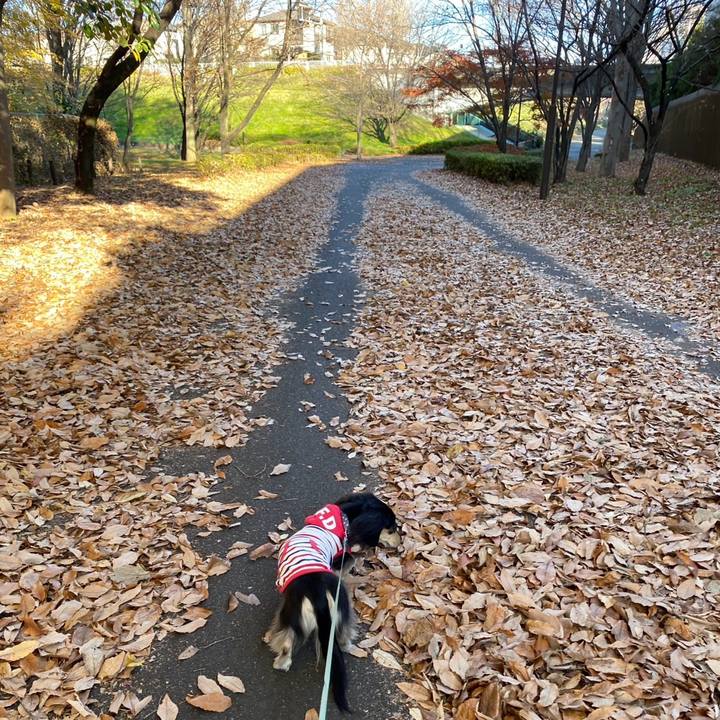 D339f003 99c8 448b 90b1 608fb753690f 1764982615781