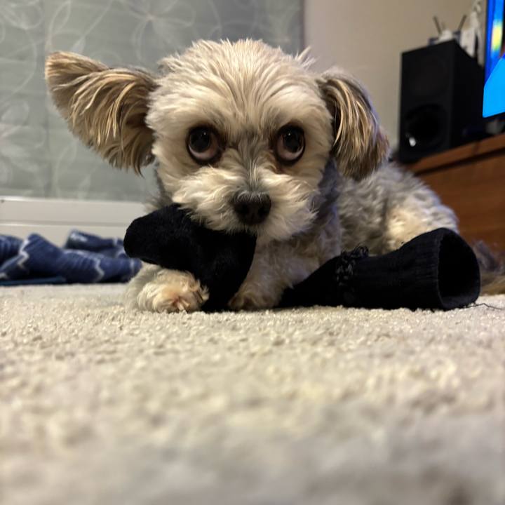 D339fe98 4746 4086 9995 c93abd92bbee 1762951468744