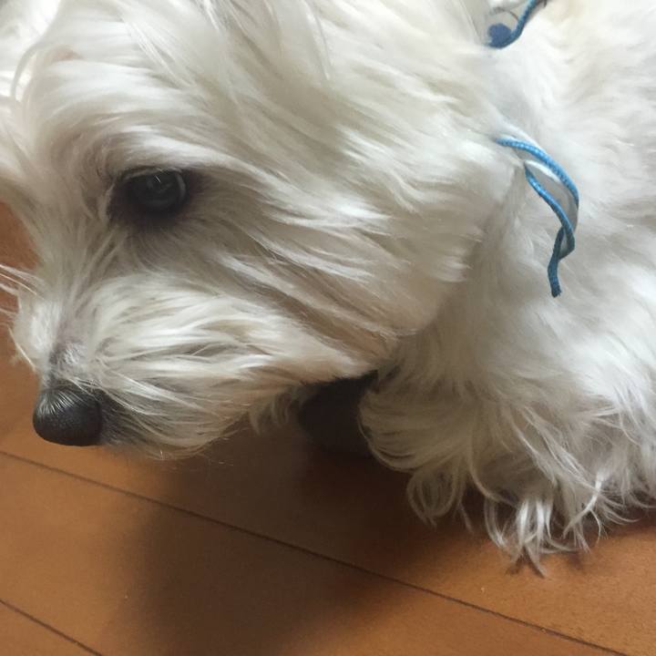 D33a2050 3b30 4811 bb6e 866cf9b0685c 1521296141399