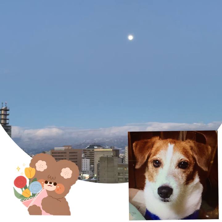 D33a2f94 1ae0 4916 a79d c1c571fa551e 1739268620026