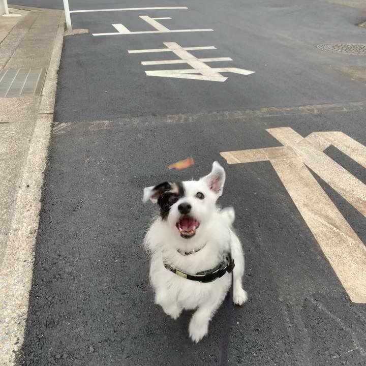 D33a482d f90f 4fa4 971f 1db32afee8aa 1751358872761