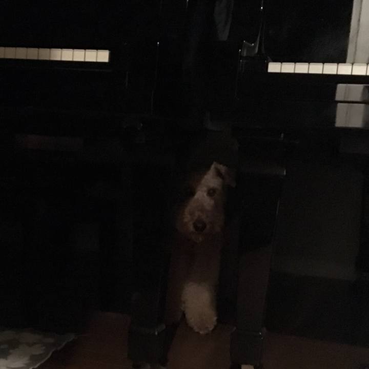 D33a5bb2 ed34 436e ad5c bd3a711ff968 1536833793230