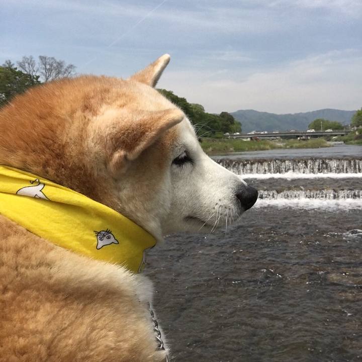 D33a6894 15a3 4330 a784 bfd610b38238 1524392859053