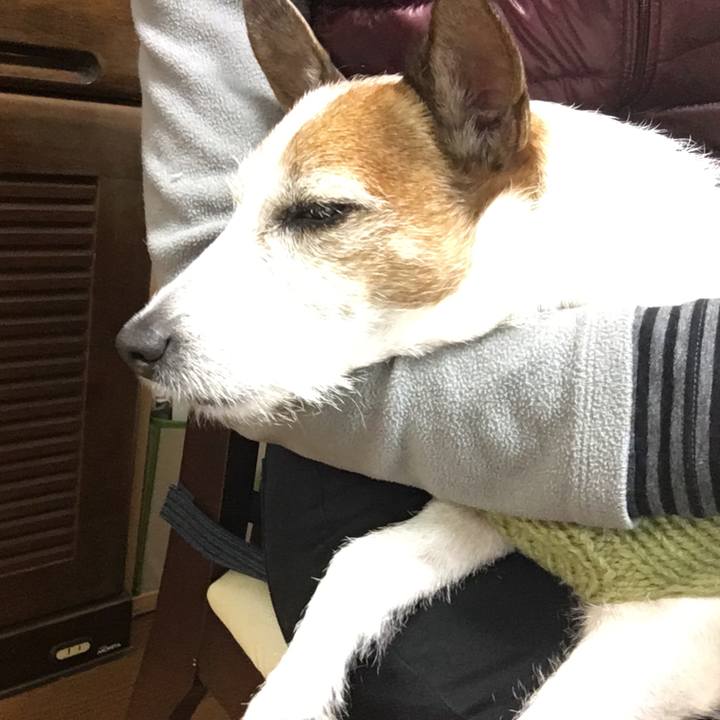 D33a6e81 b8c1 421f b675 3d4ad2d18c88 1643153700229