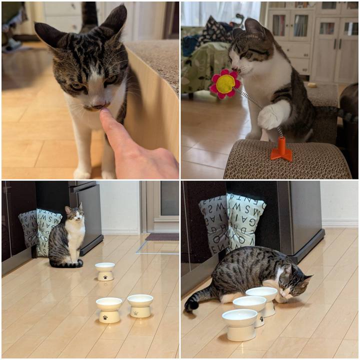 D33a80d9 393d 4c20 80e9 e8026b2a2e11 1745043087604