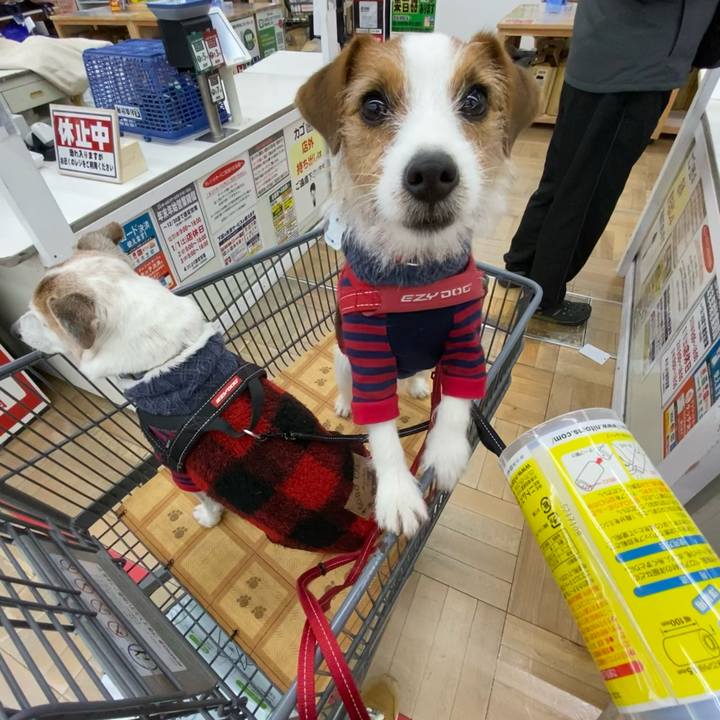 D33ae0e0 8c2f 4c39 bd41 dfd22b5c7cb7 1640412732974