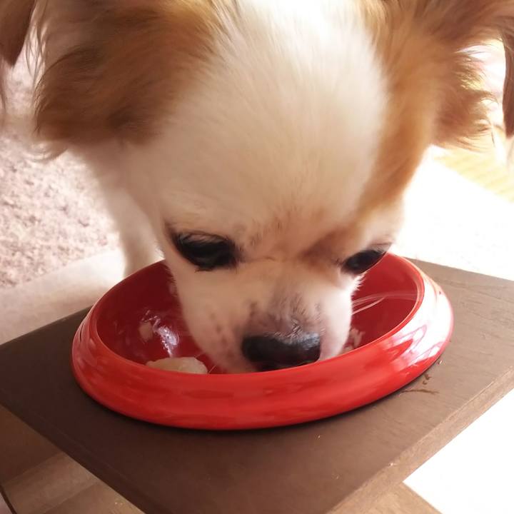 D33b329b 5e28 4790 9627 d871a0f60e9c 1597204700921