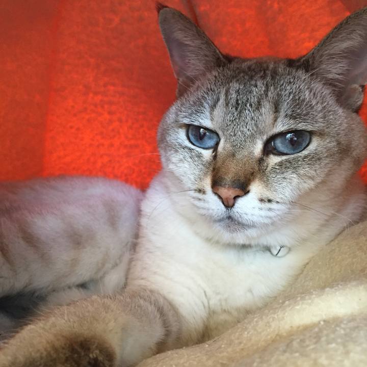 D33b6af8 dabe 4f8c 9a4b 2a94196ea3bf 1546748322522