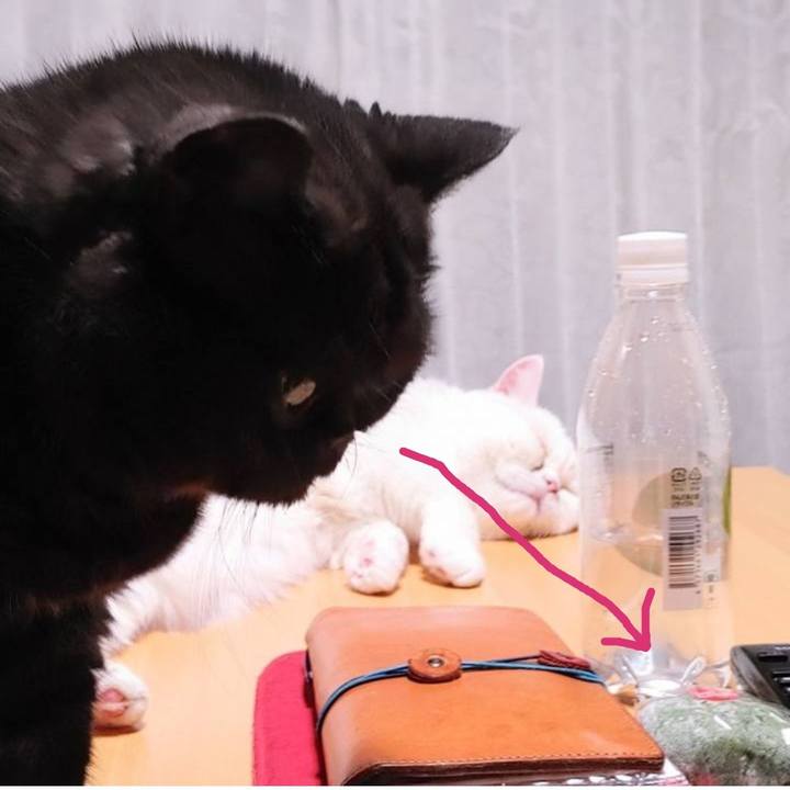 D33b6f62 950f 458a 9c3b 9e60f925b558 1666862333830