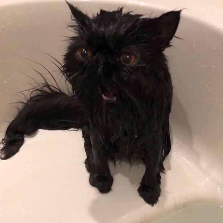 D33ba0fe 7bce 4c7f b63a 475979e1b9e0 1550769314324