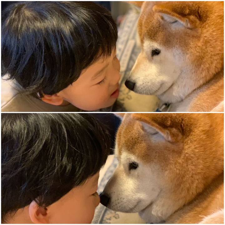 D33bab87 39a0 475c 837c bc2faaae0d52 1668939651268