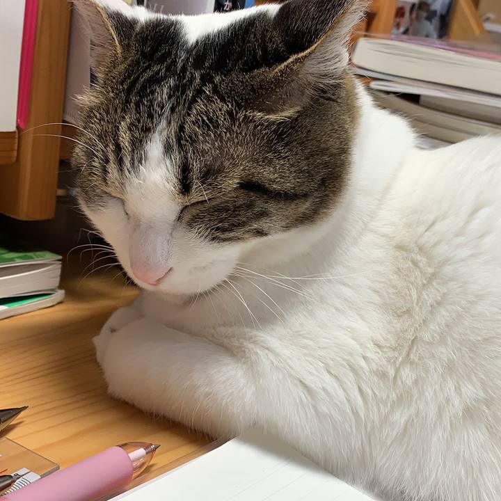 D33bac55 1bef 4ed7 a0bd 7192aad5a8d7 1588281122274