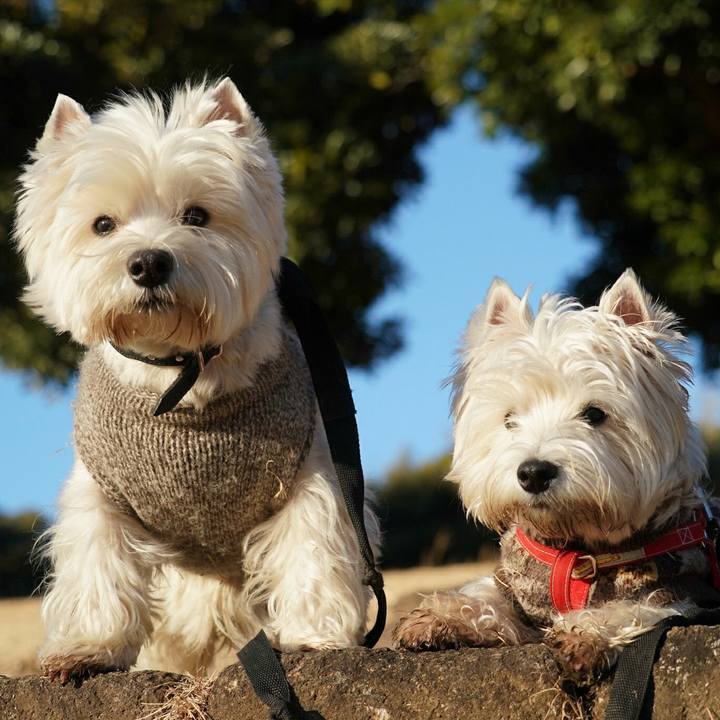 D33bafc0 b9ba 45f0 b289 800a4f60c34d 1518528089776