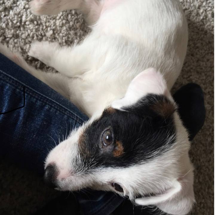 D33bf712 19b8 4acb 84fc 5b303194adaa 1597068036804