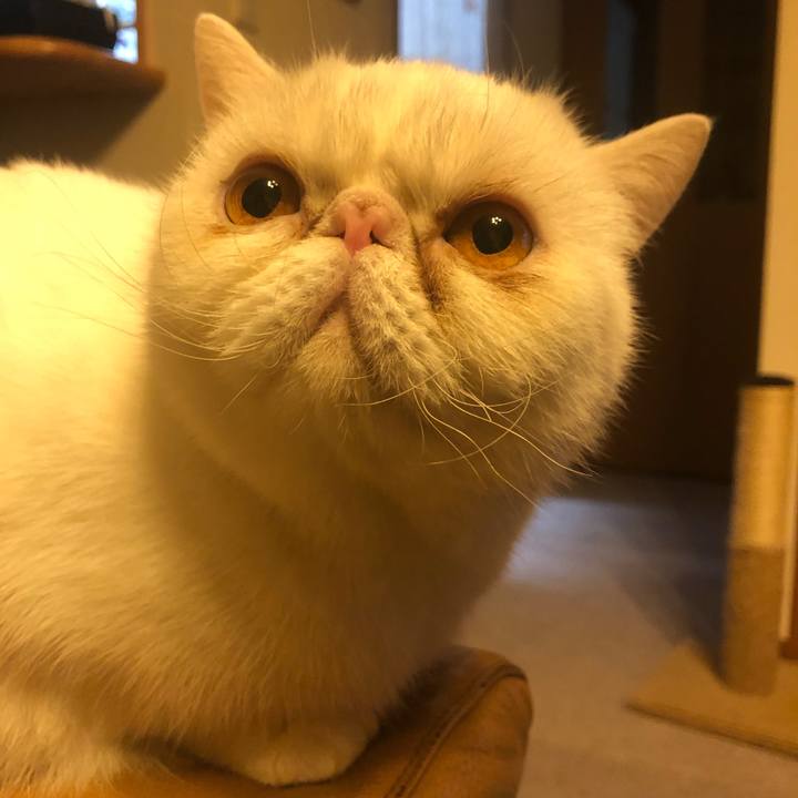 D33c18de a31d 4eb1 af13 3d1acc7e8b92 1641809541750