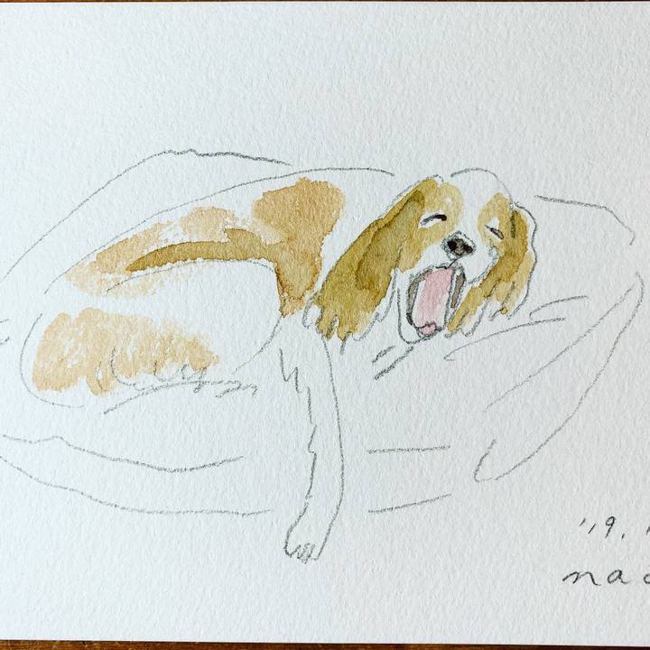 D33c20ba 6a06 45c8 b5b8 ec1a909dc23d 1573811820305