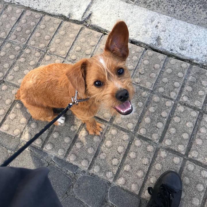 D33c2326 a943 4bdf 8884 3082e1f4313f 1528103540477