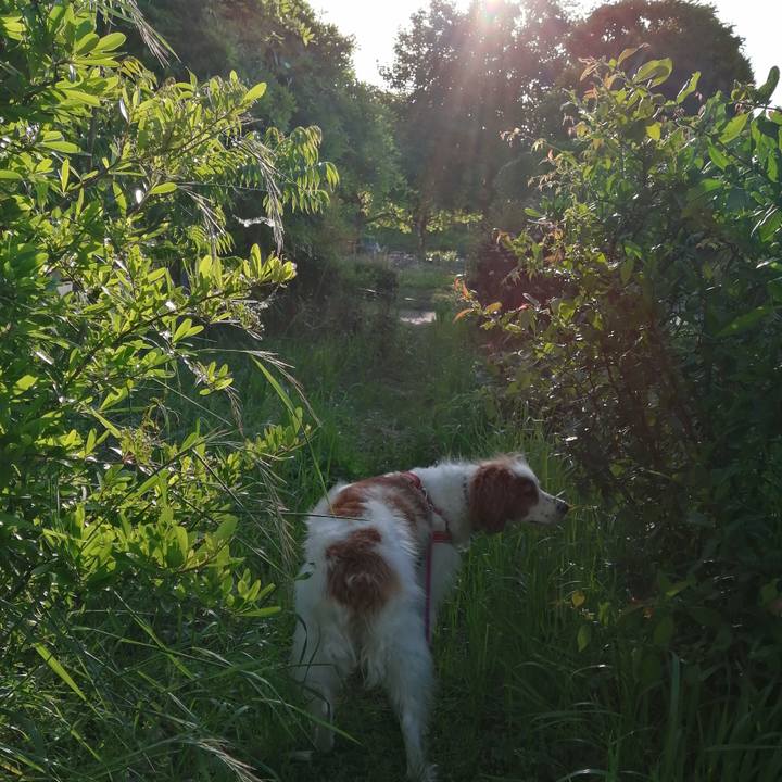 D33c582d 62e1 4b7c a022 e2403f87ff95 1620041377624