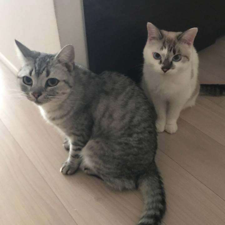 D33c6960 3462 43b0 ba39 8b06b5ce73db 1509681990293