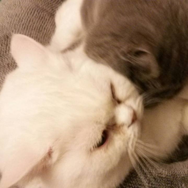 D33c718f b7a5 4394 a4c2 6513b1a6ad2f 1551351583529