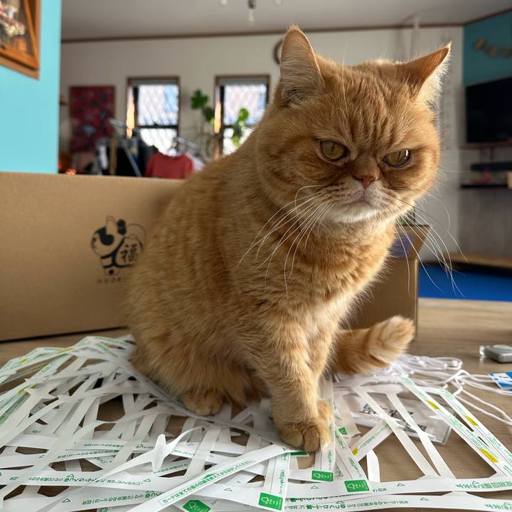 D33c744a 0ac3 4a6b 8e93 57cf84c7d639 1771497362181