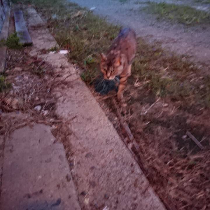 D33c9b6d 3099 4e47 9385 0c56e3cf16fd 1567762480577